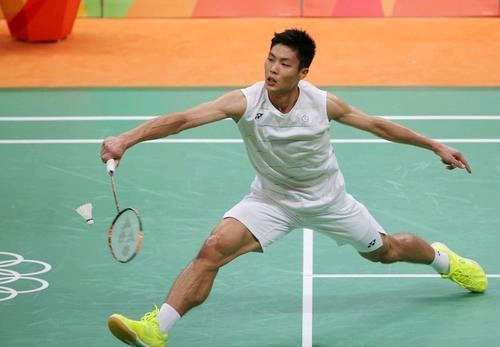 中形成了 中形成了